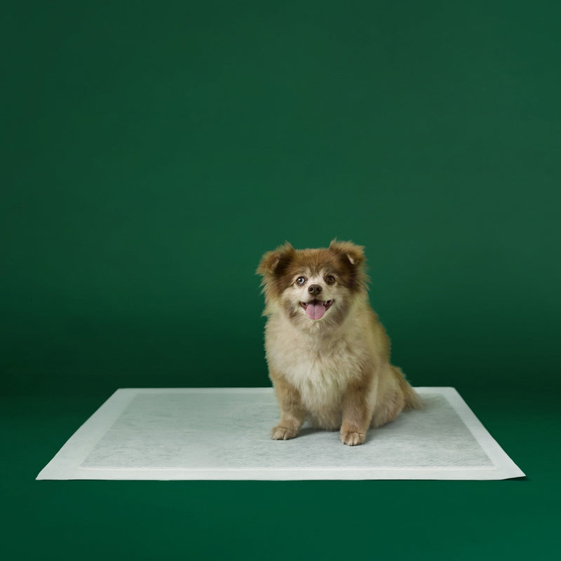 Disposable Dog Pee Pads with AbsorbShield+ Technology G1